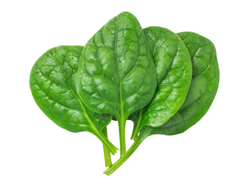 Green Spinach PNG File HD PNG Image
