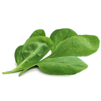 Leaves Green Spinach Free Photo PNG Image