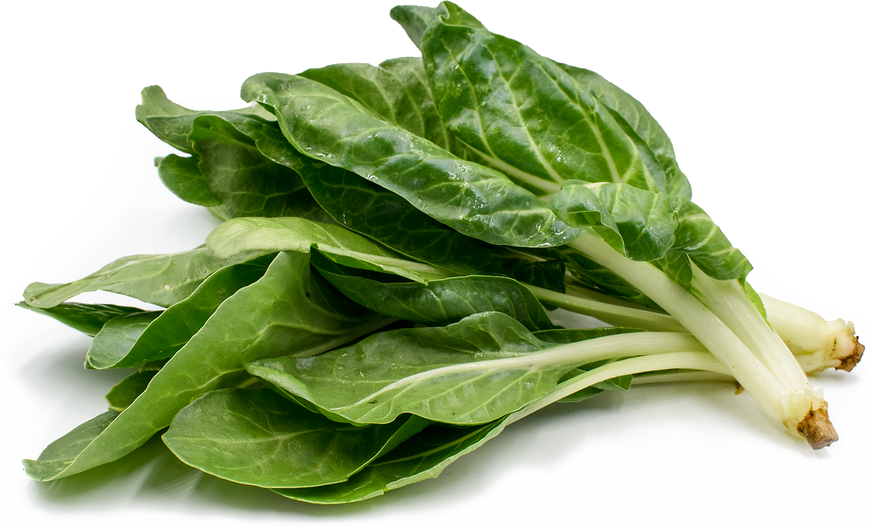Photos Leaves Green Spinach Free Download PNG HQ PNG Image