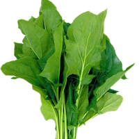 Leaves Green Spinach Free Clipart HQ PNG Image
