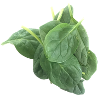 Green Organic Spinach Free Transparent Image HD PNG Image