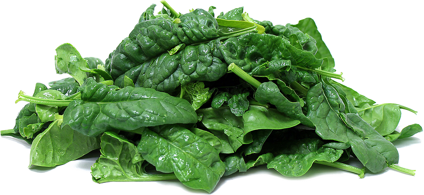 Chinese Spinach PNG Download Free PNG Image
