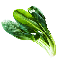 Fresh Chinese Spinach Free Download Image PNG Image