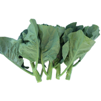 Green Chinese Spinach Free PNG HQ PNG Image