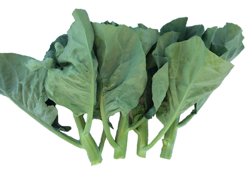 Green Chinese Spinach Free PNG HQ PNG Image