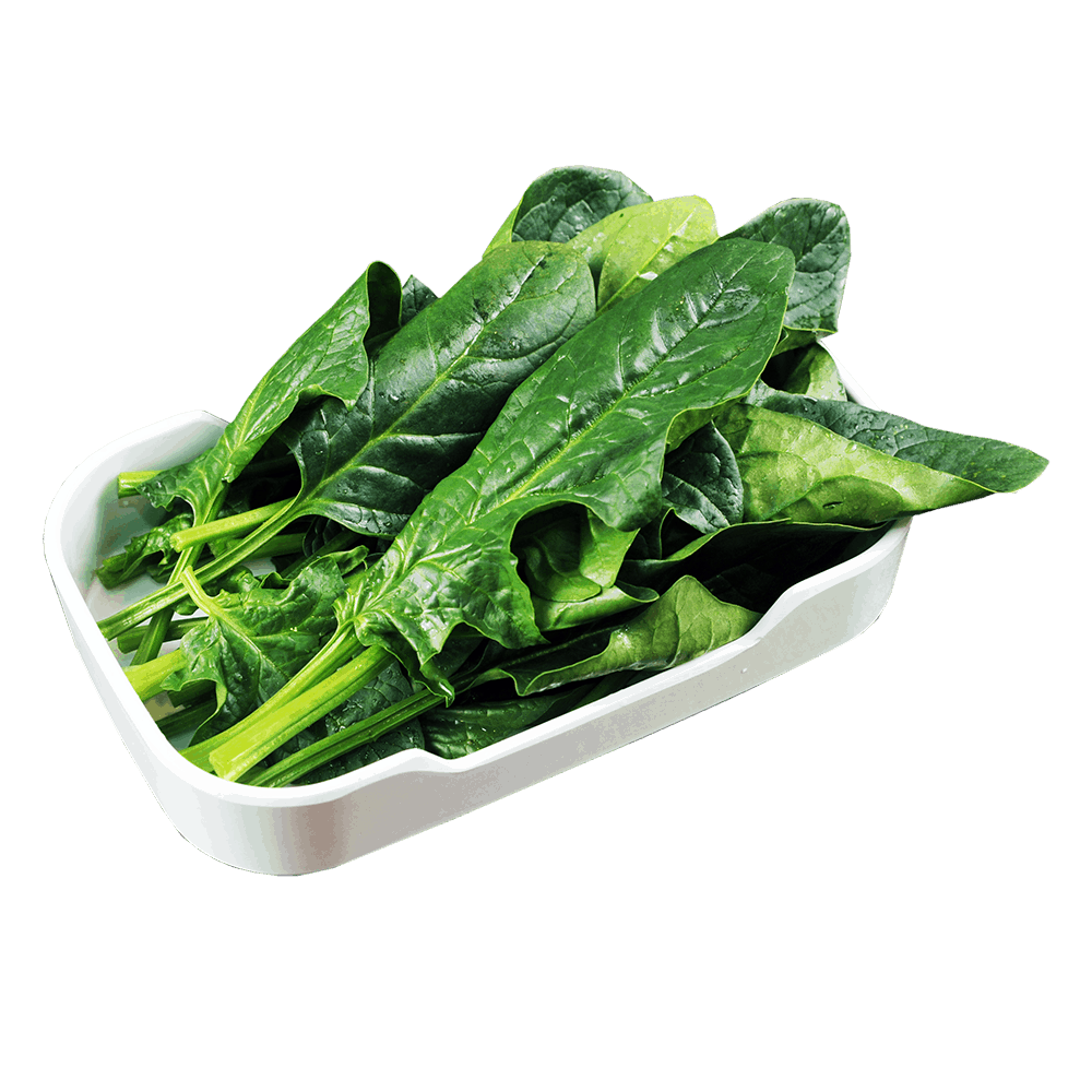 Photos Organic Chinese Spinach HD Image Free PNG Image