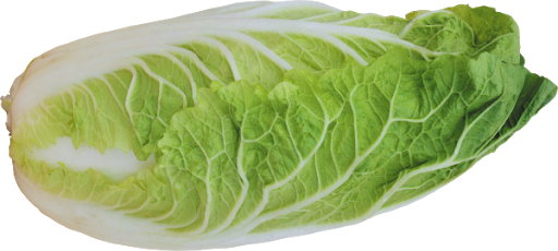 Organic Chinese Spinach Free Clipart HQ PNG Image