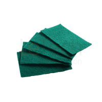 Washing sponge PNG