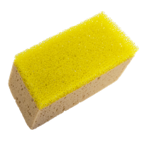 Washing sponge PNG