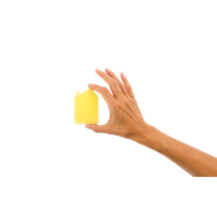 Sponge PNG