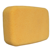 Washing sponge PNG