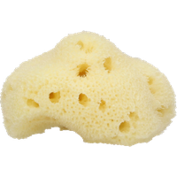 Sponge bath PNG