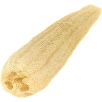 Sponge bath PNG