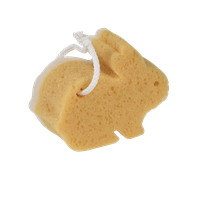 Sponge bath PNG