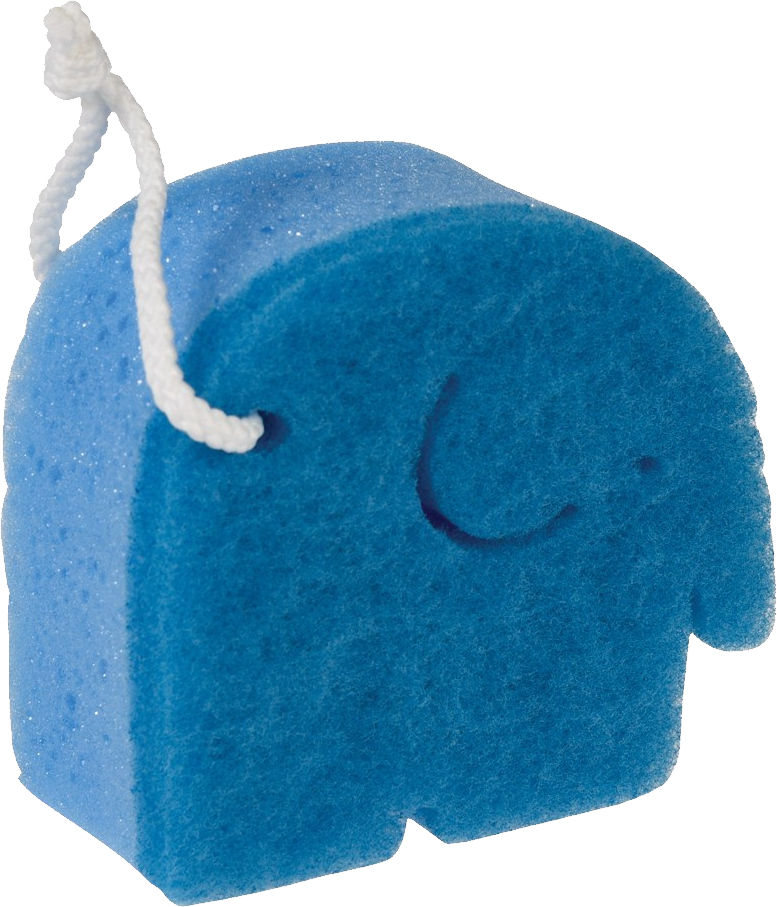 Sponge bath Transparent PNG Image