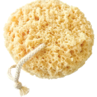 Sponge bath PNG
