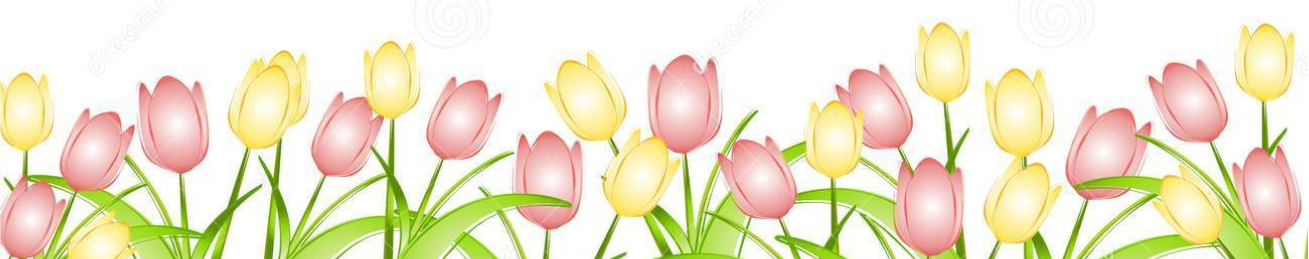 Spring Png Images PNG Image