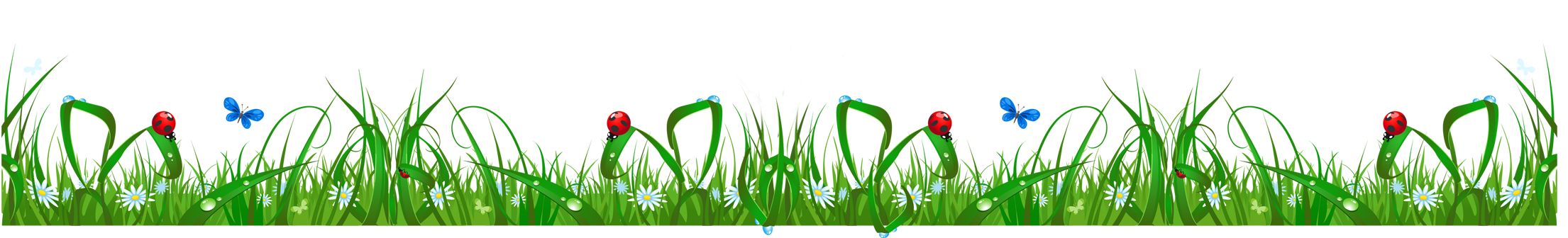 Spring Meadow Download Free Image PNG Image