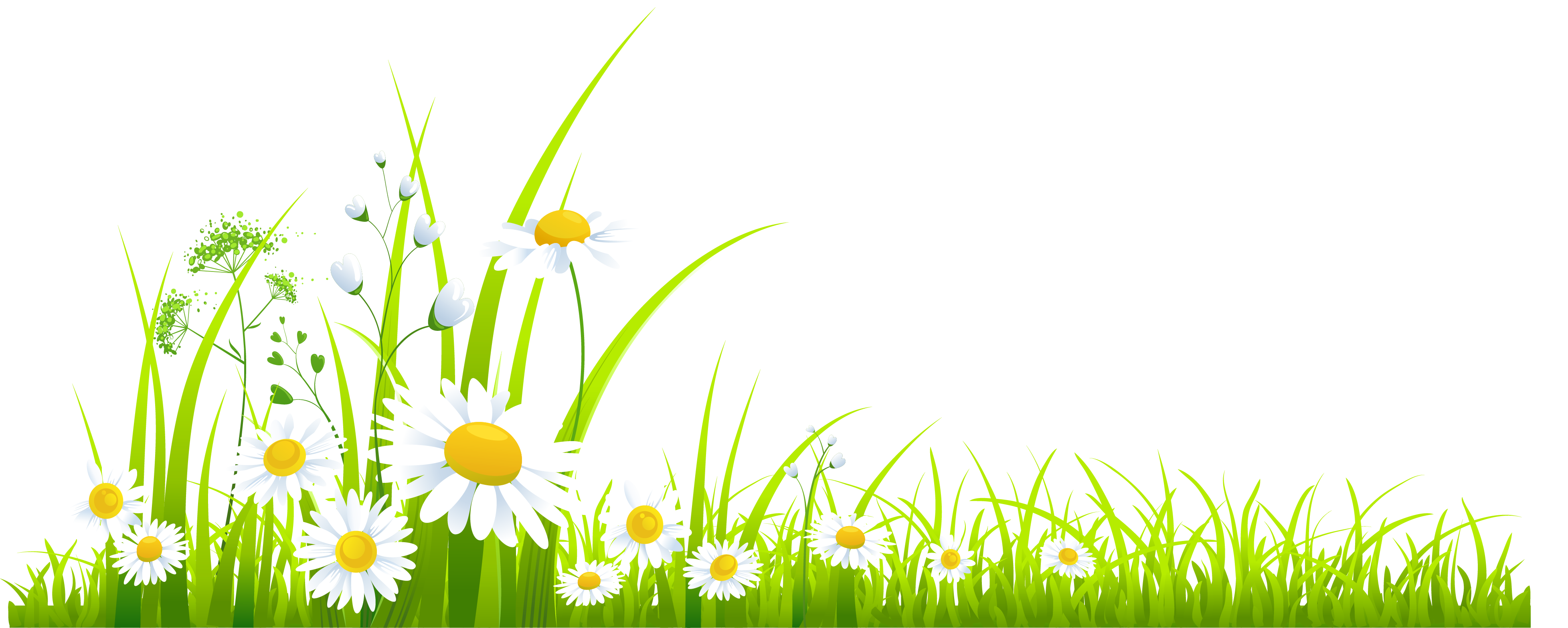 Spring Download Png Transparent PNG Image