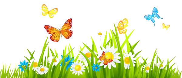 Spring Picture PNG Image