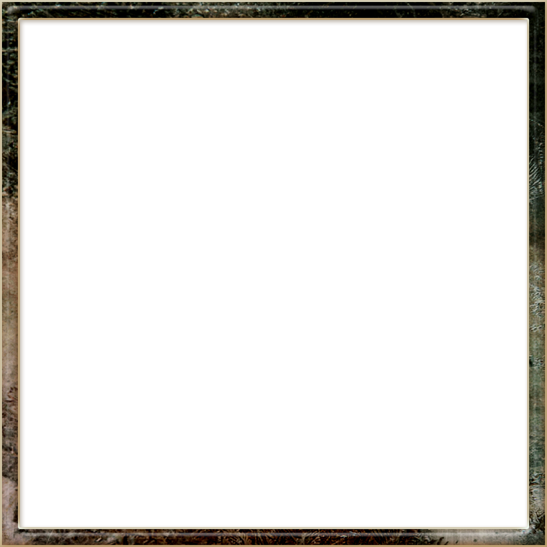 Square Transparent PNG Image