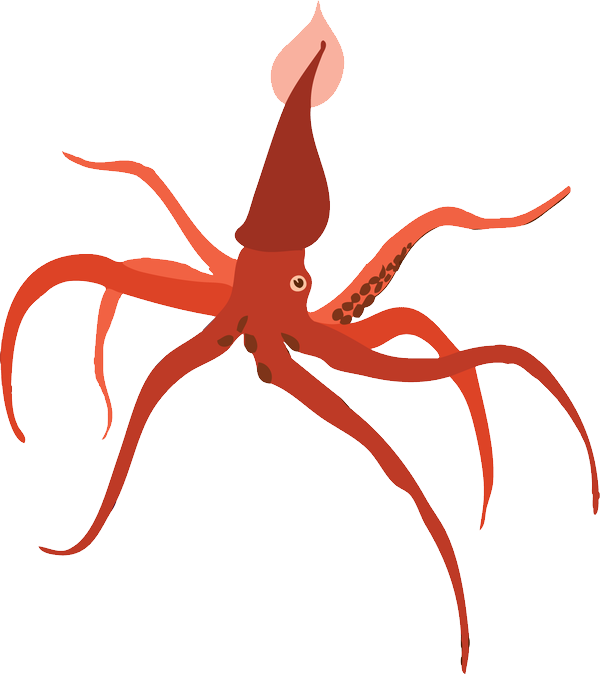 Squid Transparent PNG Image