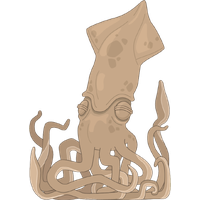 Squid PNG