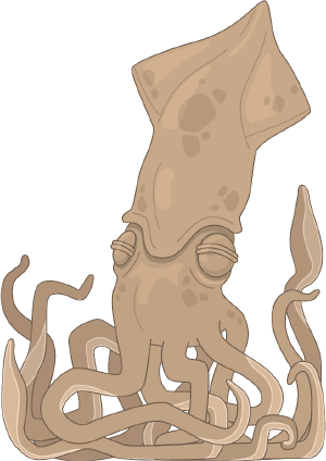 Squid Transparent PNG Image