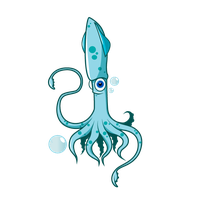 Squid PNG