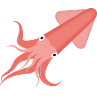 Squid PNG