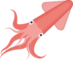 Squid Transparent PNG Image