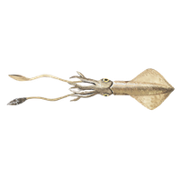Squid PNG