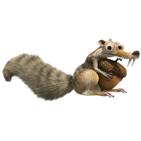 Squirrel Png Image Transparent HQ PNG Download | FreePNGImg