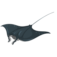 Stingray PNG