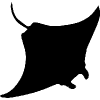 Stingray PNG