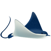 Stingray PNG