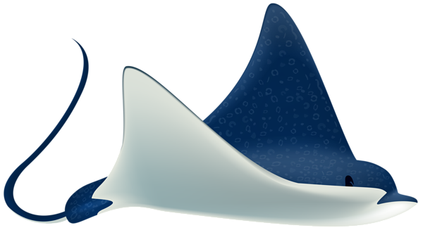Stingray Transparent PNG Image
