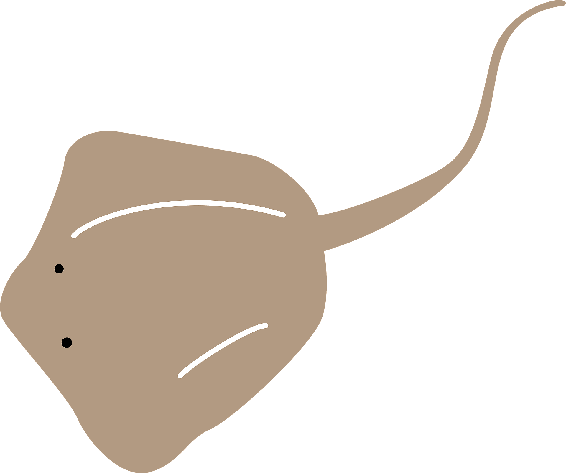 Stingray Transparent PNG Image