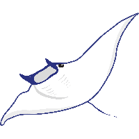 Stingray PNG