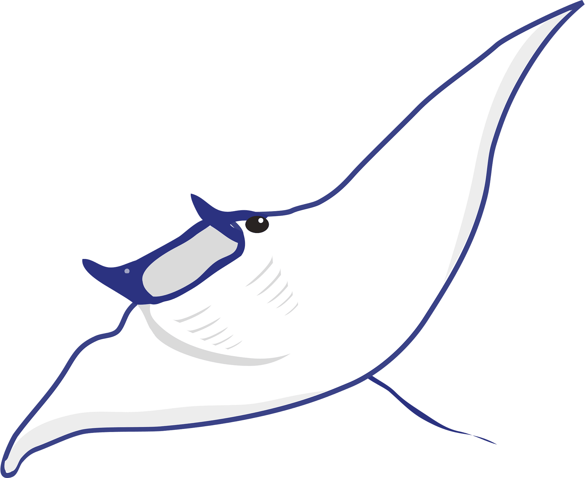 Stingray Transparent PNG Image