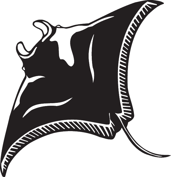 Stingray Transparent PNG Image