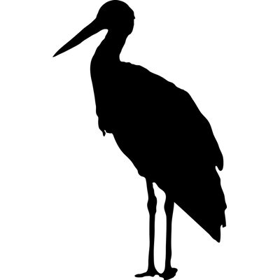 Stork Transparent PNG Image