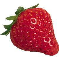 Download Strawberry Png Images HQ PNG Image