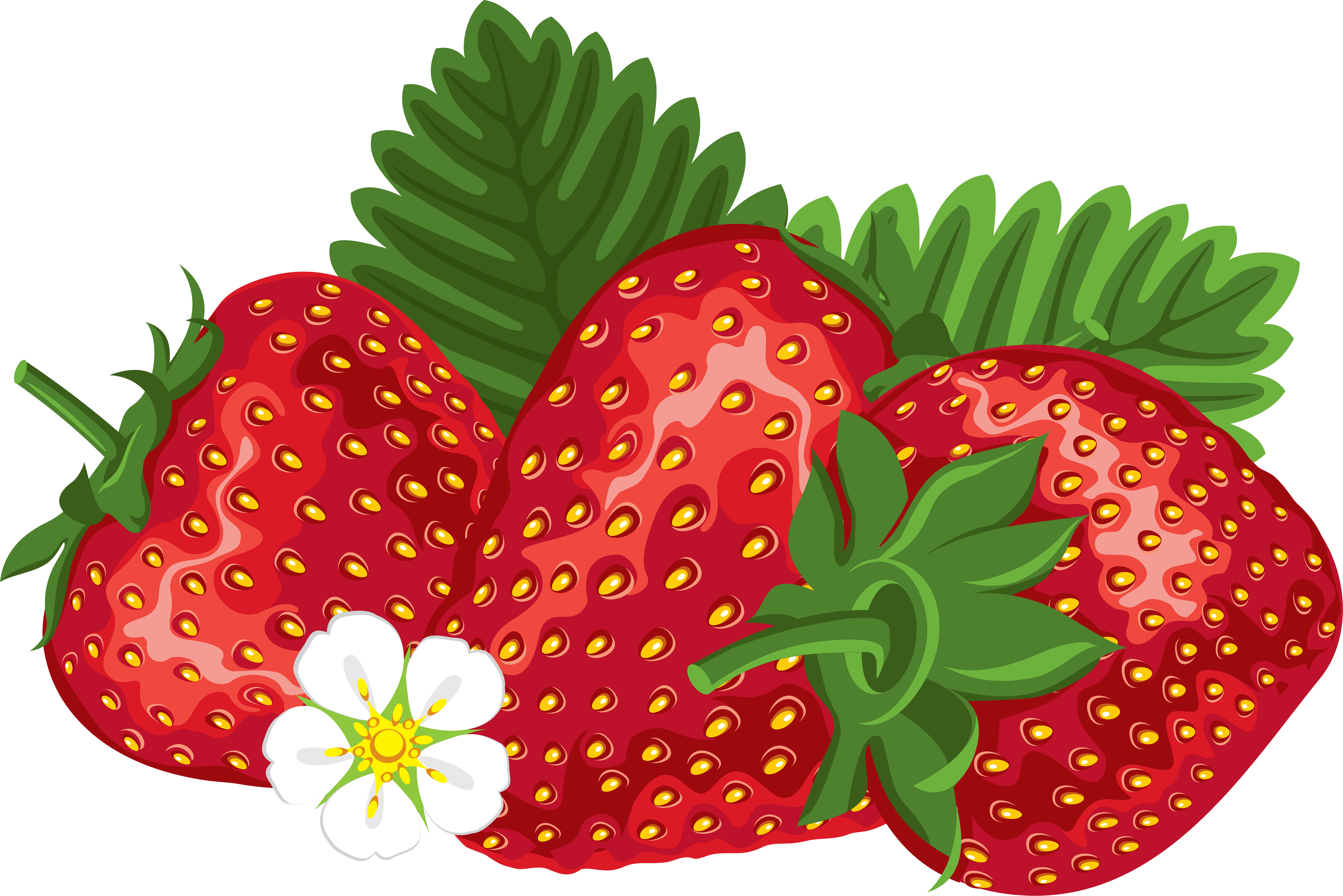 Strawberry Png Images Transparent PNG Image