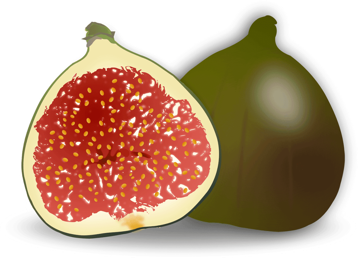 Fig PNG File HD PNG Image
