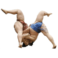 Sumo PNG