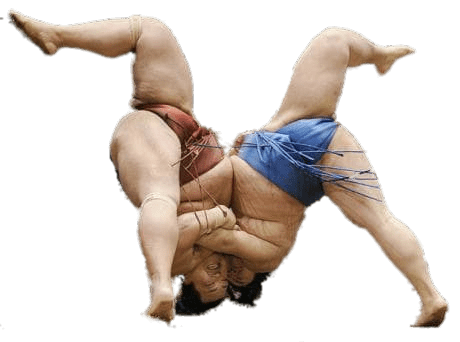 Sumo Transparent PNG Image
