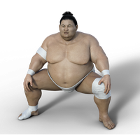 Sumo PNG