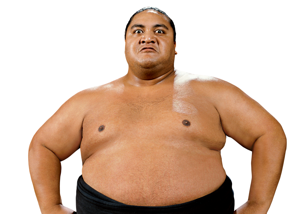 Sumo Transparent PNG Image