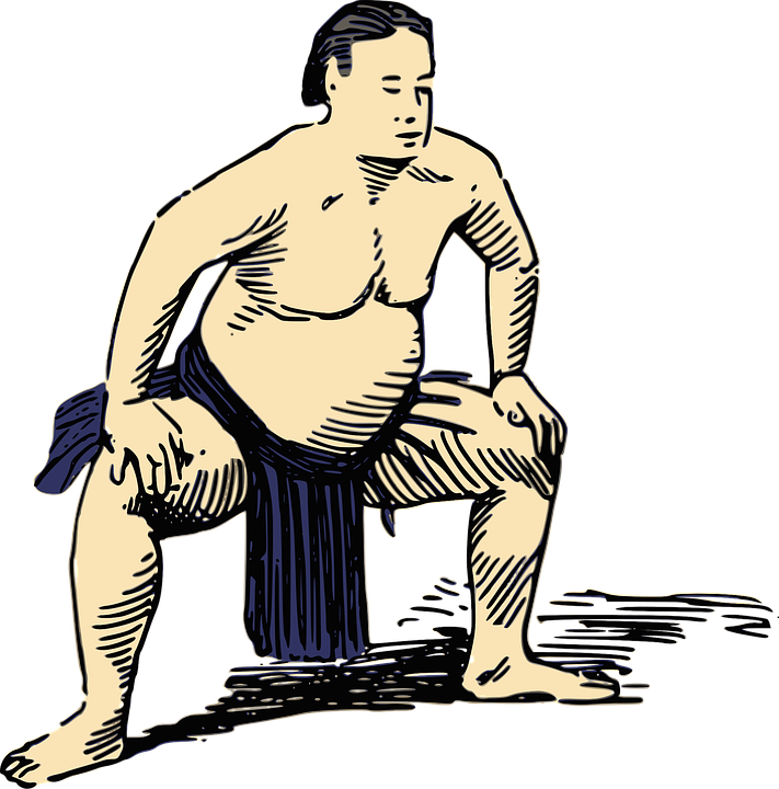 Sumo Transparent PNG Image